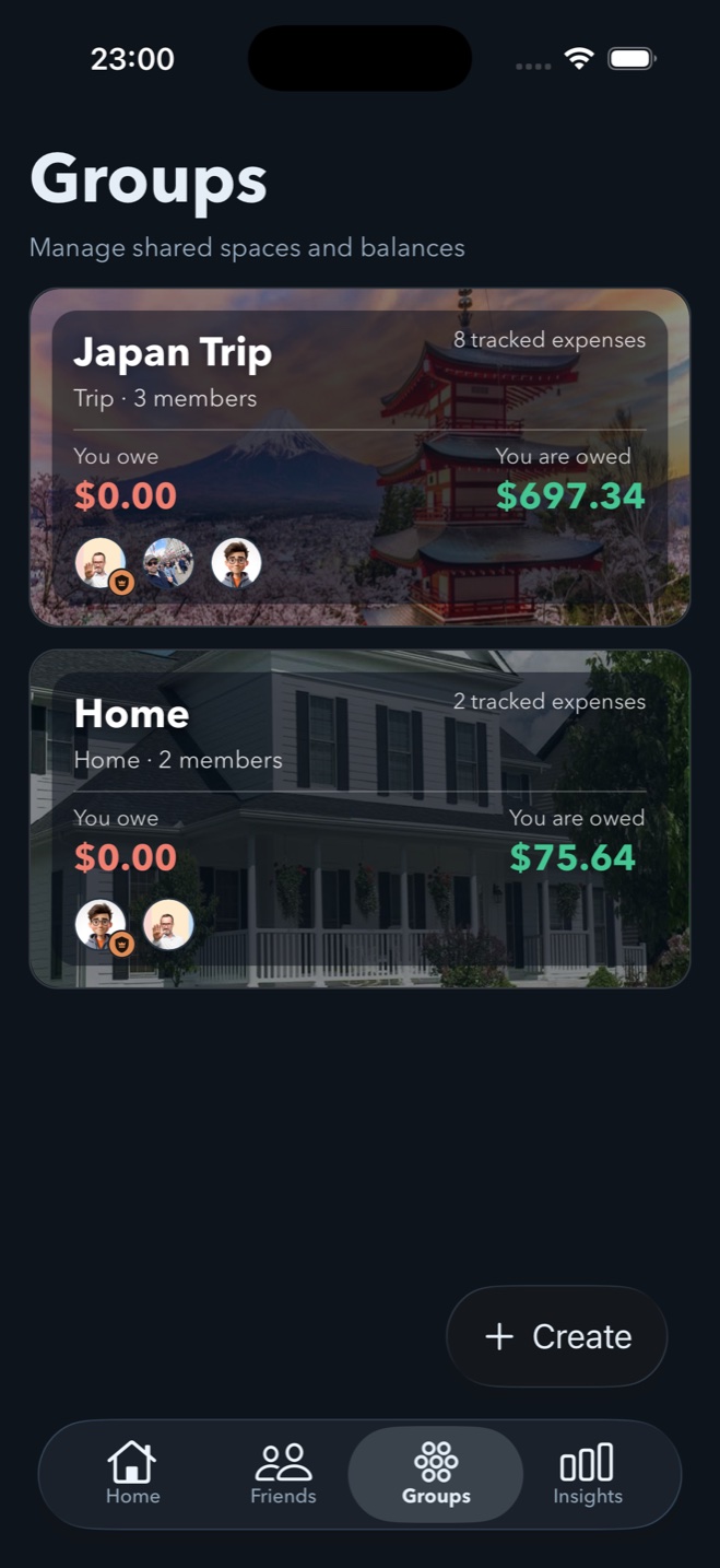 Spendol groups screen showing trip and household balances